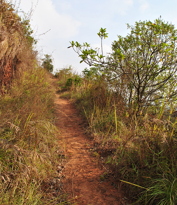 nature photography india